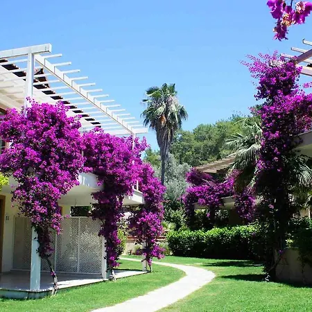 Aquamarine Garden Family Appartement